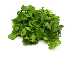 Coriander cilantro leaves isolated on white
