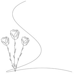 Roses flowers line drawing. Vector illustration