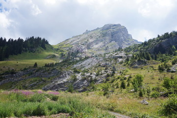 Naklejka premium Montagne en été