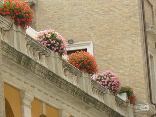 Naklejka premium Roma Italia.