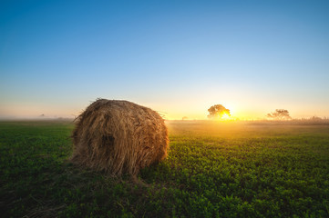 haystack on green field under the beautiful blue cloudy sky at  sunrise. foggy morning. autumn landscape