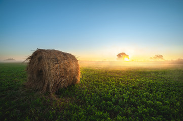 haystack on green field under the beautiful blue cloudy sky at  sunrise. foggy morning. autumn landscape