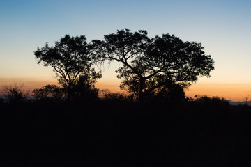 Fototapeta na wymiar Sunset in the Kruger National Park, South Africa