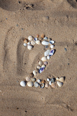 Number 2 laid out from seashells on the sand. Marine background. The symbol is two. Shells. Copy space.
