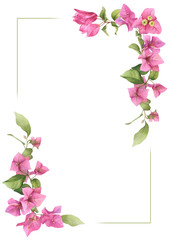 A pink bougainvillaea square frame  hand painted in watercolor isolated on a white background. Watercolor floral frame. Watercolor bougainvillea frame.