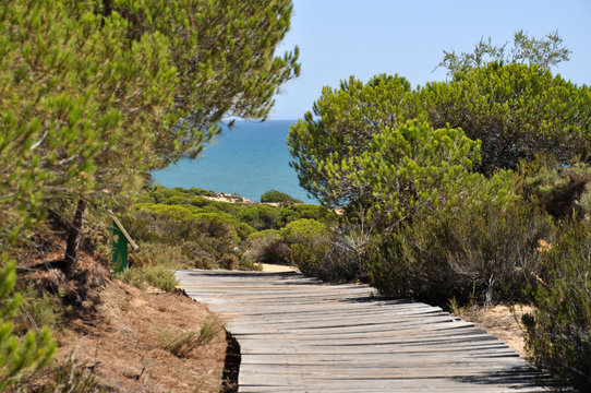 Camino de madera en playa Cuesta Maneli, Mazag&oacute;n
