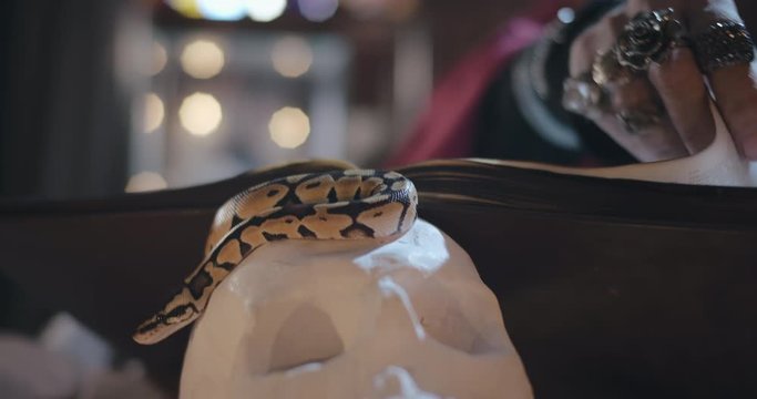Snake on skull and witch turning book pages on background