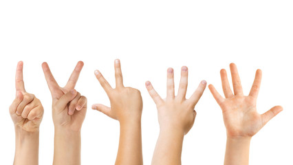 Count to five. Kids hands gesturing isolated on white studio background, copyspace for ad. Crowd of...