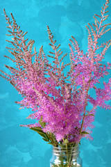 Fototapeta na wymiar Pink astilbe flowers against the blue bright background