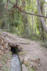 Acequia por mitad de una ruta en el bosque