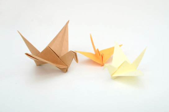 Set of Origami paper birds on white