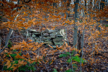 A mystery as to why this stone wall is in the woods in the small town of Windsor in Upstate NY