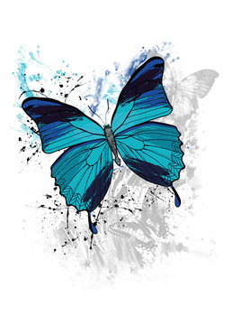 Butterfly illustration design with different shades of blue