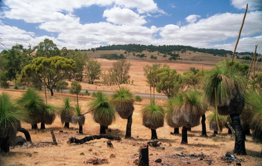 paysages de centre de l'australie dans les années 1980 © antoine-photographe
