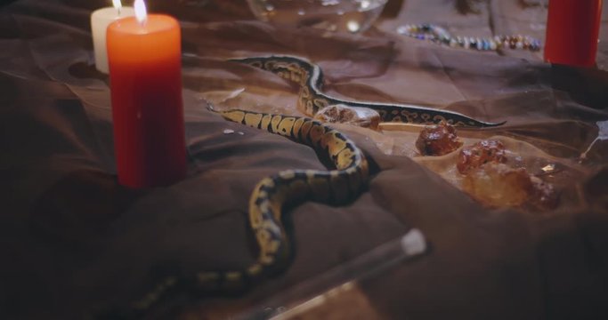 Two small snakes crawl on table with ritual objects