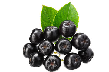 Chokeberry with green leaves isolated on white background. Clipping path and full depth of field