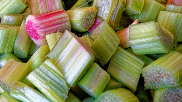 rhubarbe