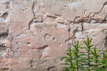 Empty old plaster wall texture. Painted grungy wall surface.  Grunge red stonewall background. Shabby building facade with damaged plaster. Abstract web banner. Copy Space.