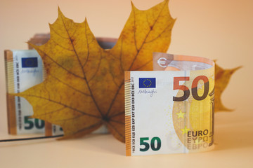 Paper money with a face value of 50 euros and a yellow autumn maple leaf on a light background. Concept of seasonal financial reports and planning.