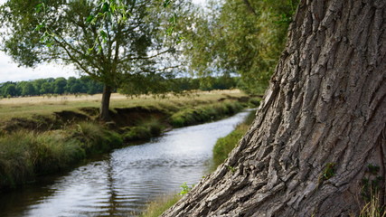Fototapeta premium river in spring