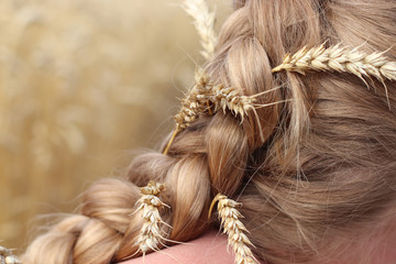 Braid hairstyle with sprigs of ripe wheat. Blond long hair close. Healthy hair.