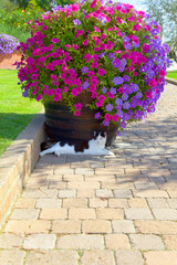 Fototapety na wymiar - Fototapeta24.pl