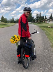 Obraz premium Senior riding a bike carrying sunflowers