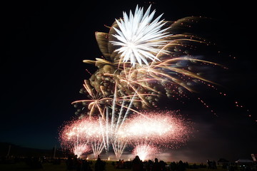 fireworks in the night sky