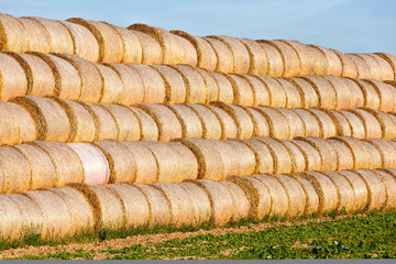 straw stacks stacked