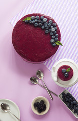 Blueberry mousse cake, cheesecake with fresh blueberry  on white plate with mint leaves