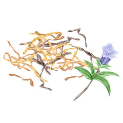 ランタンとつる草のフレームイラスト Background Wall Mural Backgrou Ko Hamari