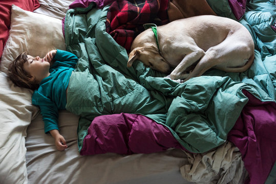 child sleeping together with dog
