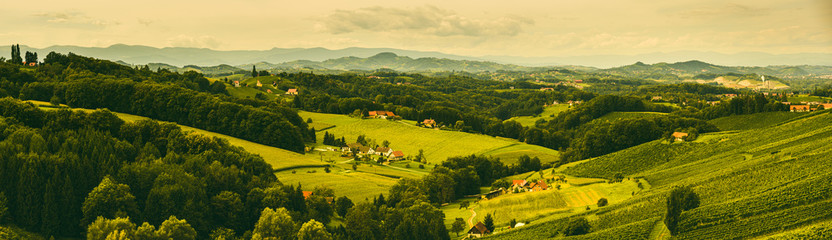 Fototapeta na wymiar Winery panorama on the South Styrian Wine Road in Austria