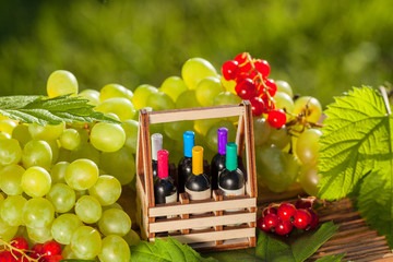 Still life on the theme of winemaking on a blurred green background for the inscription