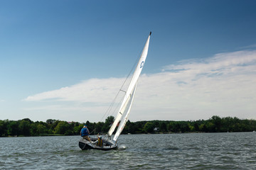 Obraz premium Regaty Bosman 50