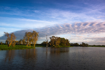 Fototapeta na wymiar Flooded wetlands during the wet season, Kakadu National park, Northern territory, Australia.
