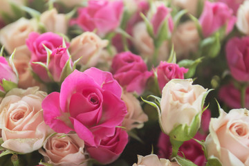 Holiday flowers as a gift-a bouquet of beautiful delicate roses in pink and beige