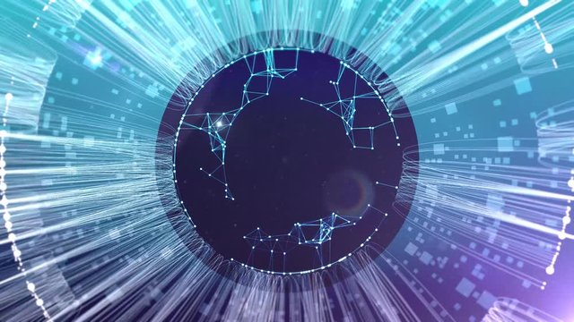 Digital iris technology network system