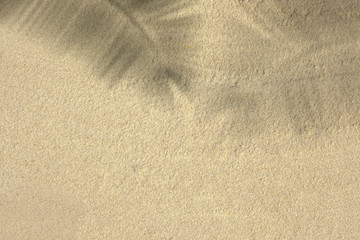 Fototapeta na wymiar sand texture background with palm leaf shadow