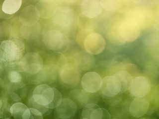 Fototapeta premium Abstract bokeh defocus glitter blur background