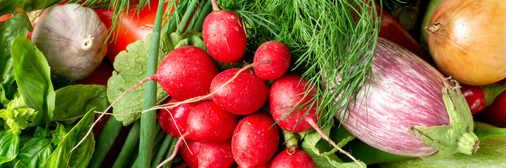Assortment of vegetables on the table. Radishes, eggplants, cabbage, peppers, onions and herbs on the table. The concept of healthy eating. Top view with space for text. Banner