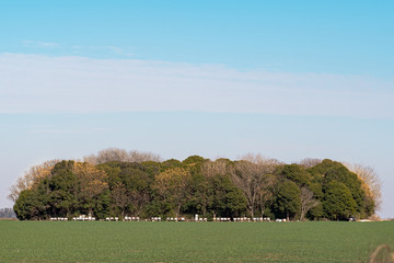 Amanecer en el campo Argentino © EstebanColombo