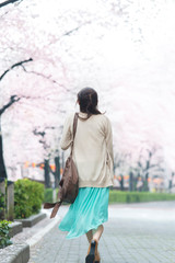 桜並木を歩く女性の後姿