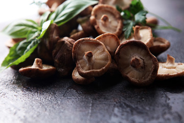 Raw wild shiitake mushrooms. Composition with wild mushrooms