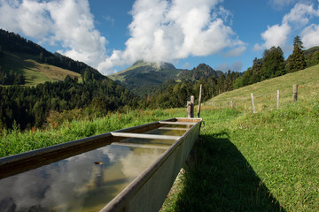 Water trough fountain on Swiss hiking trails 