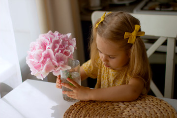 Naklejka premium Little girl with yellow bows holds glass vase with pink hydrangea, sits on chair in the room. Cute child with flowers.