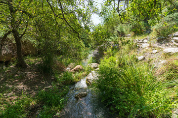 Fototapeta na wymiar water flowing down a river, around there is vegetation