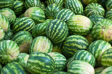 Water melons on sale in Istanbul, Turkey.