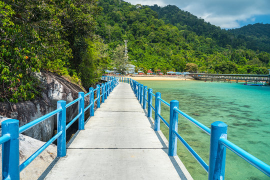 Hike on Tioman from ABC Beach to Monkey Beach through the rainforest