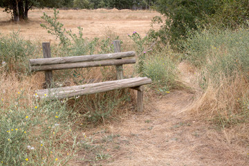 Wooden Bench and Dry Grass